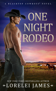 One Night Rodeo_07b